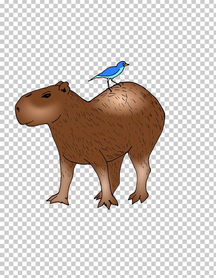 Capybara Hamster Rodent Guinea Pig PNG, Clipart, Animal Figure, Bear, Beaver, Blog, Capybara Free PNG Download