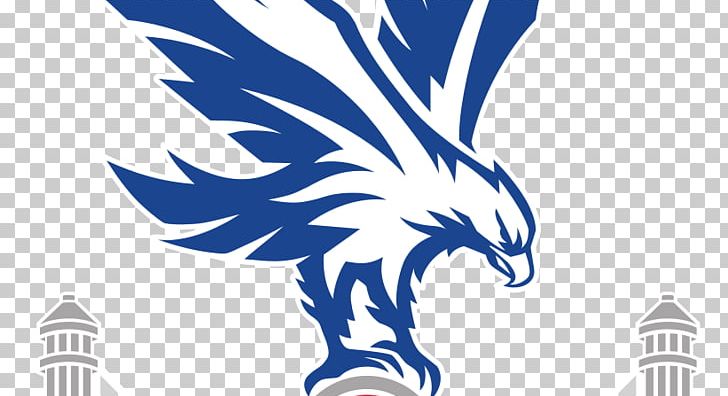 Crystal Palace F.C. Selhurst Park FA Cup Crystal Palace L.F.C. Premier League PNG, Clipart, Art, Beak, Bird, Black And White, Bola Free PNG Download