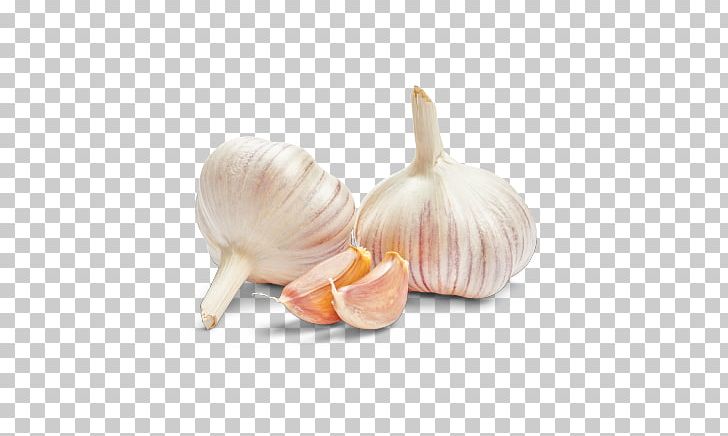 Yellow Onion Elephant Garlic Vegetable Shallot PNG, Clipart, Bonduelle, Broccoli, Elephant Garlic, Food, Fruit Free PNG Download