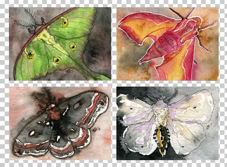 Brush-footed Butterflies Silkworm Butterfly Painting Butterflies And Moths PNG, Clipart, Arthropod, Bombycidae, Brush Footed Butterfly, Butterflies And Moths, Butterfly Free PNG Download