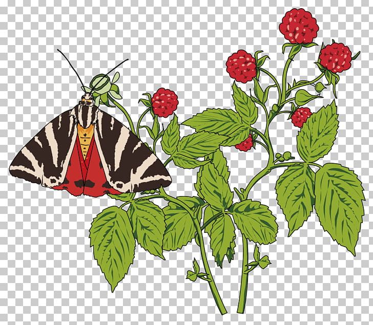 Butterfly Papillon Dog Insect PNG, Clipart, Bouquet Of Flowers, Brush Footed Butterfly, Cartoon, Flower, Invertebrate Free PNG Download