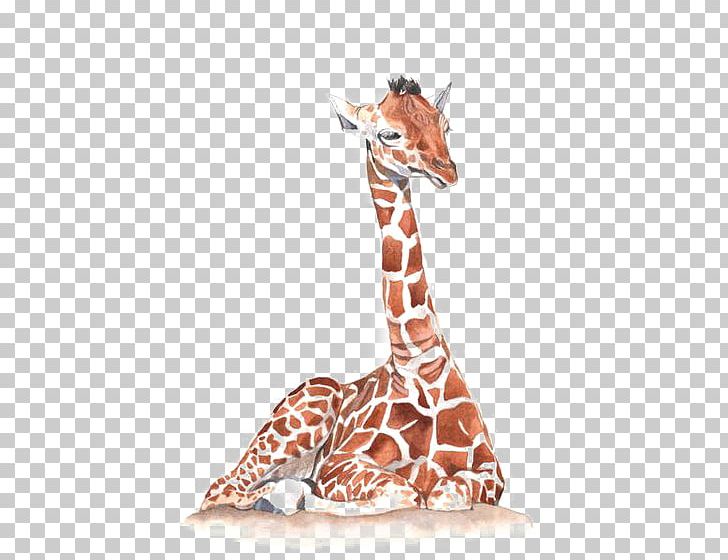 Giraffe Watercolor Painting Illustration PNG, Clipart, African, African Animals, Animal, Animals, Art Free PNG Download