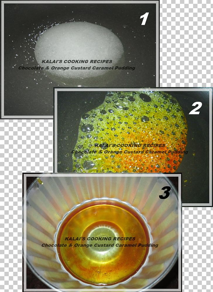 Compact Disc Organism PNG, Clipart, Compact Disc, Millets, Organism, Others, Yellow Free PNG Download