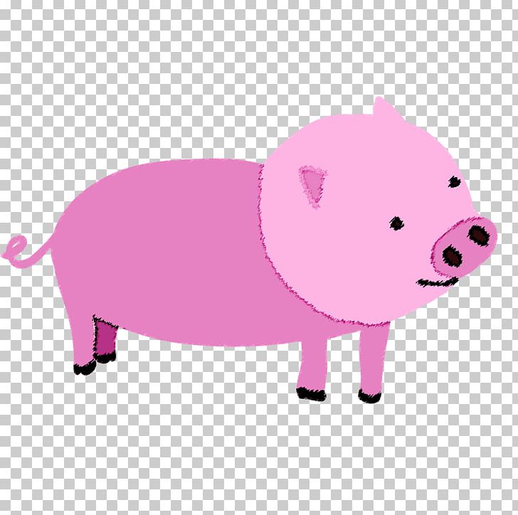 Domestic Pig Pork PNG, Clipart, Animal, Animals, Bait, Buta, Crayon Free PNG Download
