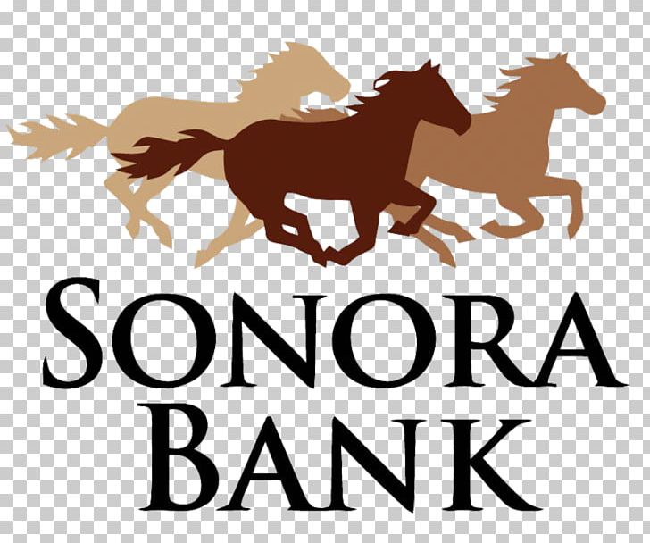 The First National Bank Of Sonora The First National Bank Of Sonora Loan Officer Sonora Bank PNG, Clipart, Bank, Brand, Credit, First National Bank Of Sonora, Horse Free PNG Download