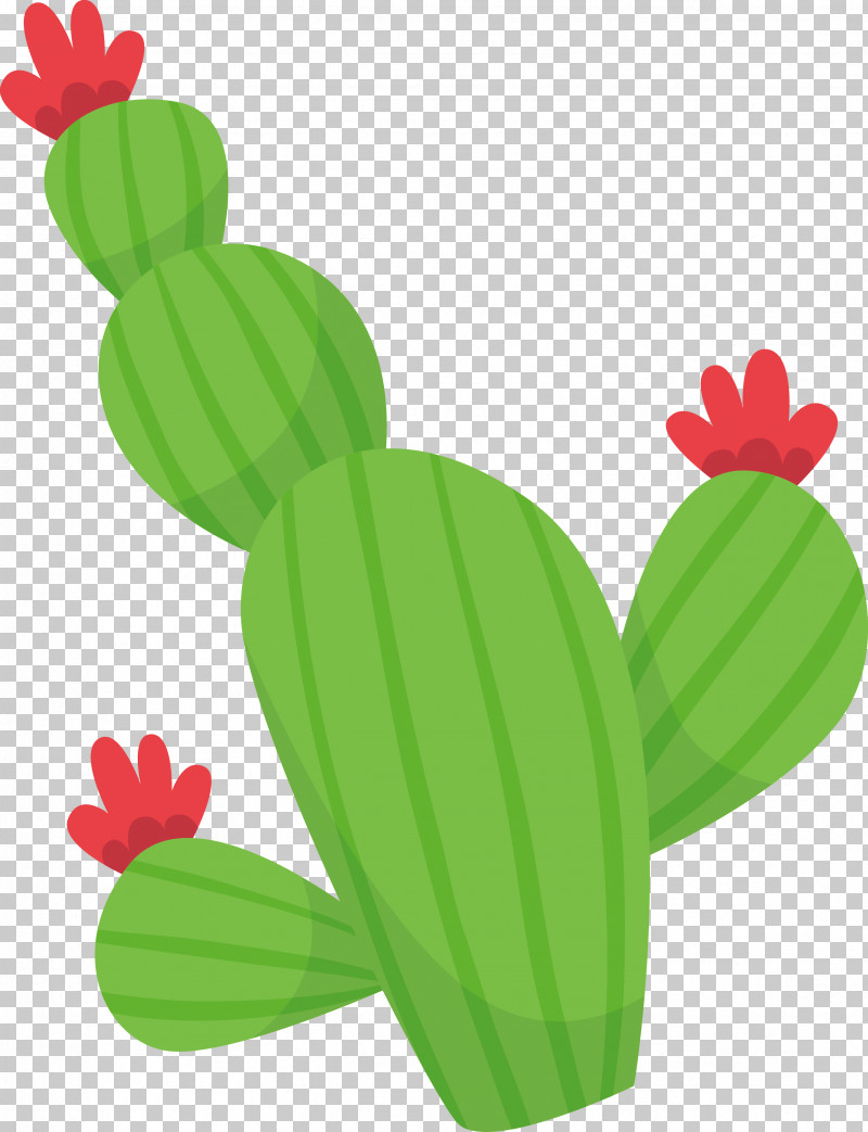 Cactus PNG, Clipart, Biology, Cactus, Frogs, Fruit, Leaf Free PNG Download