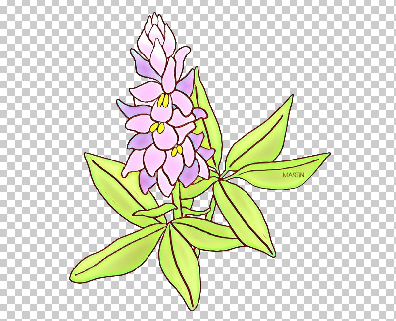 Flower Plant Leaf Herbaceous Plant Wildflower PNG, Clipart, Flower, Herbaceous Plant, Leaf, Plant, Wildflower Free PNG Download