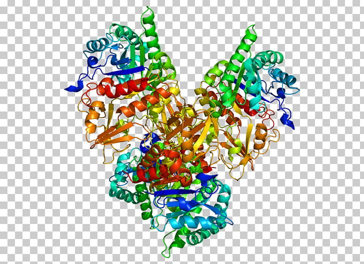CHI3L1 Chitinase Gene Biomarker Protein PNG, Clipart, 3 L, Art, Biomarker, Chi, Chitinase Free PNG Download