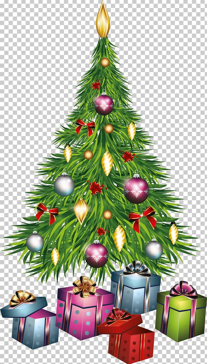 Christmas Tree PNG, Clipart, Advent Wreath, Branch, Christmas, Christmas Decoration, Christmas Ornament Free PNG Download