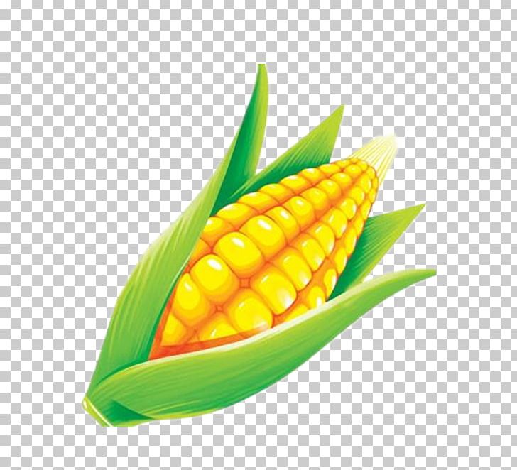 Maize Grauds PNG, Clipart, Advertising, Cartoon, Commodity, Corn, Corn Kernel Free PNG Download