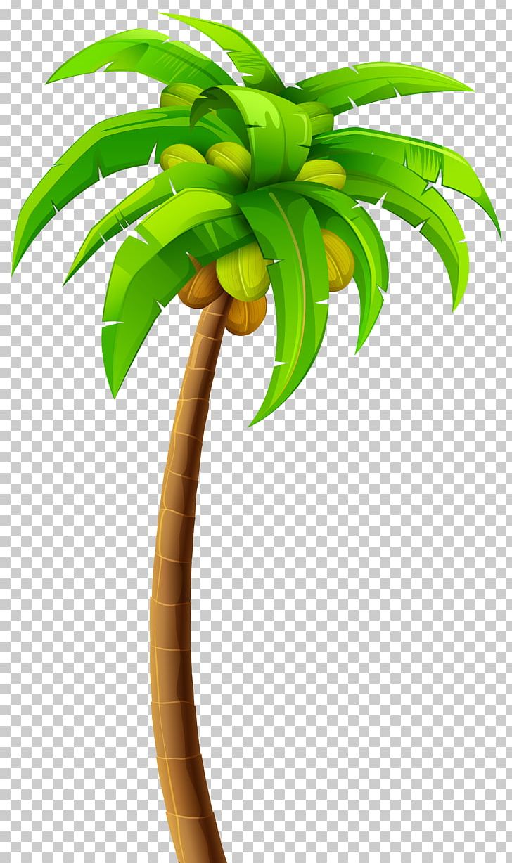 Tree Arecaceae PNG, Clipart, Animation, Arecaceae, Arecales, Banana, Clip Art Free PNG Download