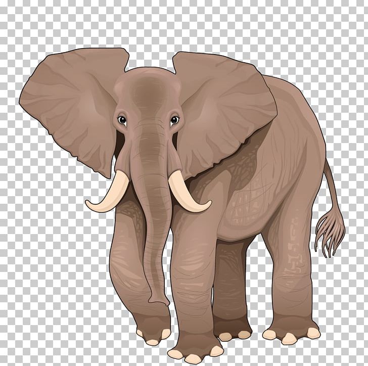 African Elephant Cartoon Illustration PNG, Clipart, Animal, Animals, Baby  Elephant, Cute Elephant, Cuteness Free PNG Download