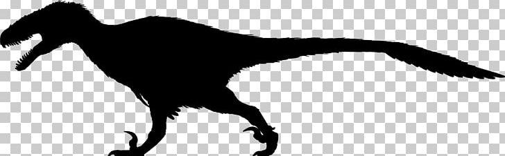 Deinonychus Velociraptor Utahraptor Austroraptor Achillobator PNG, Clipart, Achillobator, Austroraptor, Beak, Bird, Black And White Free PNG Download