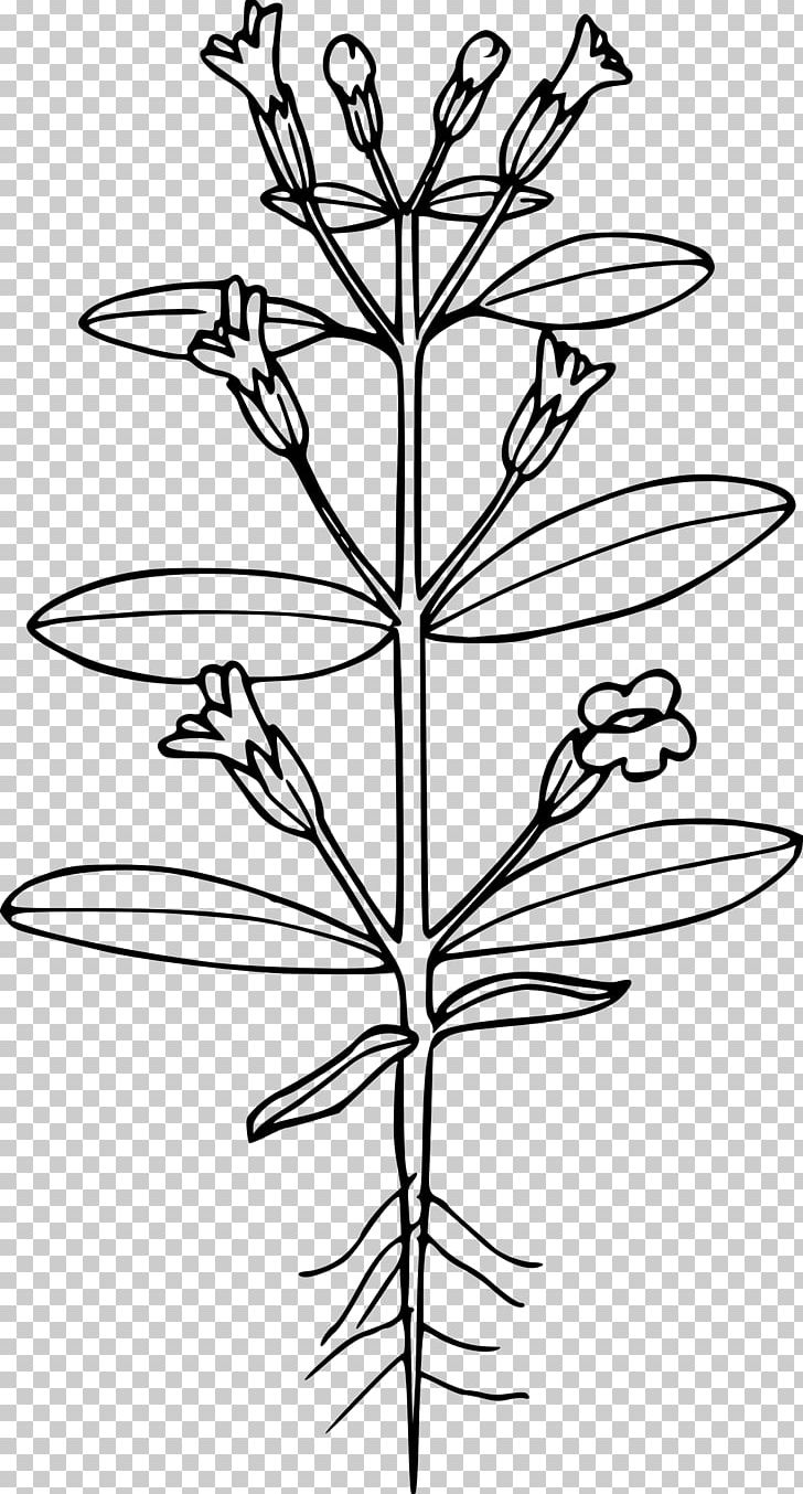 Erythranthe Breweri Computer Icons PNG, Clipart, Angle, Black And White, Branch, Computer Icons, Flora Free PNG Download