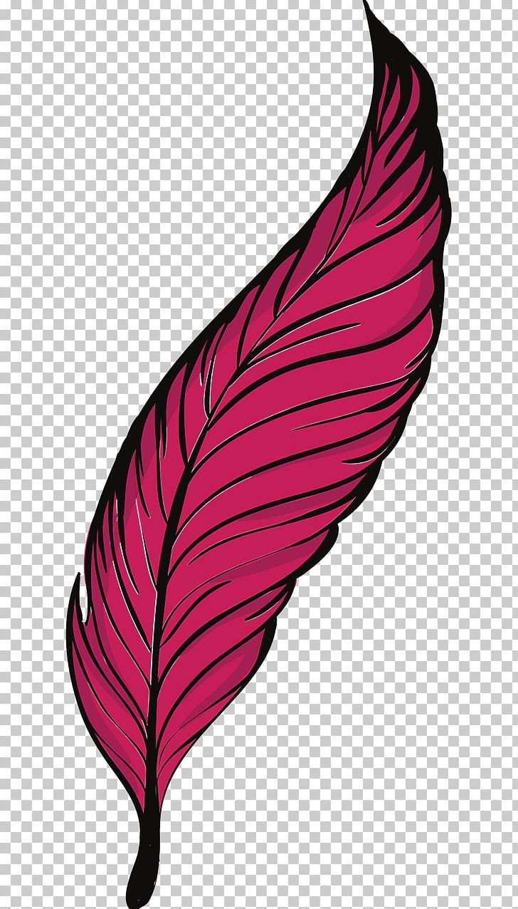 Bird Feather Quill PNG, Clipart, Animal, Animals, Bird, Clip Art, Computer Icons Free PNG Download