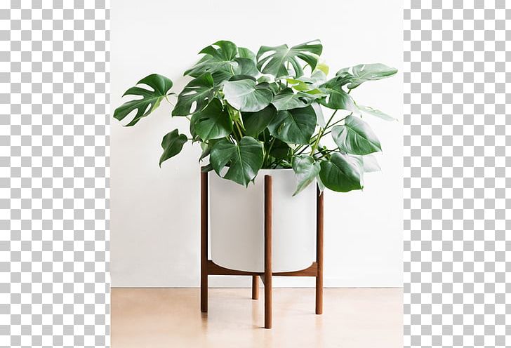 Flowerpot Houseplant Wood Succulent Plant PNG, Clipart, Bowl, Cactaceae, Century Plant, Ceramic, Cylinder Free PNG Download