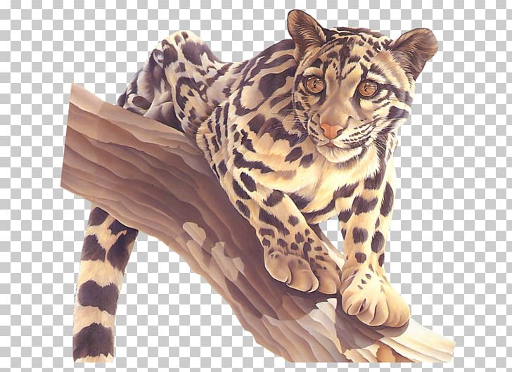 Leopard Tiger Cheetah Jaguar Ocelot PNG, Clipart, Animal, Animals, Animal Sauvage, Big Cats, Carnivoran Free PNG Download