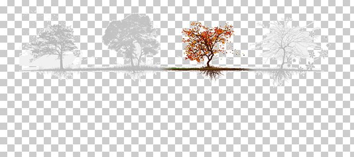 Line Water Point Tree Silhouette PNG, Clipart, Area, Art, Artwork, Branch, Branching Free PNG Download
