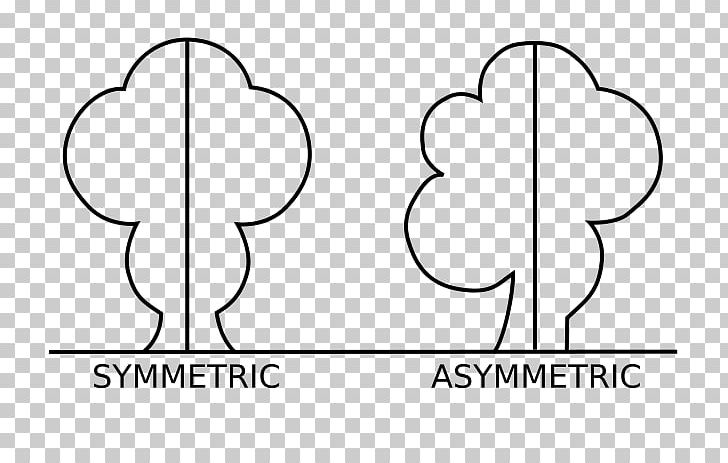 Asymmetry Definition Meaning Art PNG, Clipart, Angle, Art, Art Museum, Asymmetry, Black Free PNG Download
