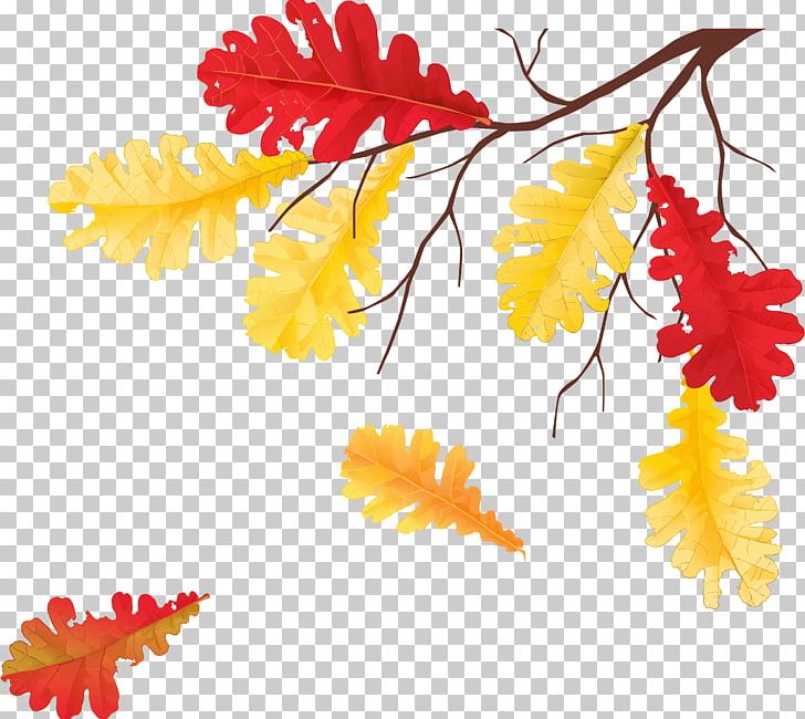 Autumn Leaves Leaf Tree PNG, Clipart, Autumn, Autumn Leaves, Baner, Branch, Digital Image Free PNG Download