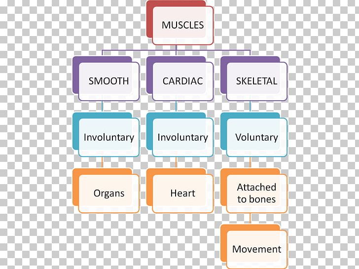 Brand Line Organization PNG, Clipart, Area, Brand, Communication, Concept, Concept Map Free PNG Download