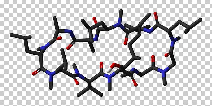 Cyclosporine Nonribosomal Peptide Ribosome Sirolimus Tacrolimus PNG, Clipart, Angle, Belatacept, Calcineurin, Cyclosporine, Disease Free PNG Download