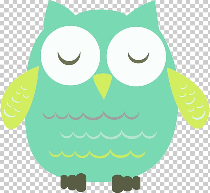 Little Owl Drawing Photography PNG, Clipart, Animals, Beak, Bird, Bird Of Prey, Drawing Free PNG Download