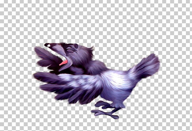 Bird Feather Beak Common Raven Oiseaux Variés PNG, Clipart, Animals, Beak, Bird, Carnivoran, Common Raven Free PNG Download