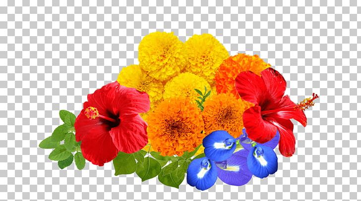 Cut Flowers Puja Rose PNG, Clipart, Annual Plant, Artificial Flower, Blossom, Cut Flowers, Floral Design Free PNG Download