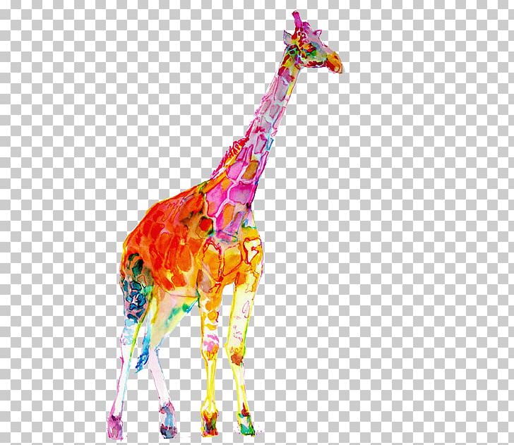 Watercolor Painting Northern Giraffe PNG, Clipart, Animal Figure, Art, Brush, Color, Drawing Board Free PNG Download