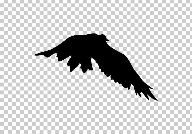 Bird Flight Silhouette Eagle PNG, Clipart, Animals, Beak, Bird, Bird Flight, Bird Of Prey Free PNG Download