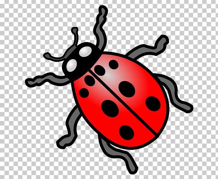 Ladybird Beetle Animal Insect PNG, Clipart, Animal, Animals, Artwork, Beetle, Cat Free PNG Download
