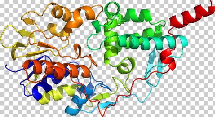 Moscow State University Shkola Khorarnoy Astrologii Marka Rusborna Monoamine Oxidase Scientist Nature PNG, Clipart, Area, Artwork, B D, C 3, D 2 Free PNG Download