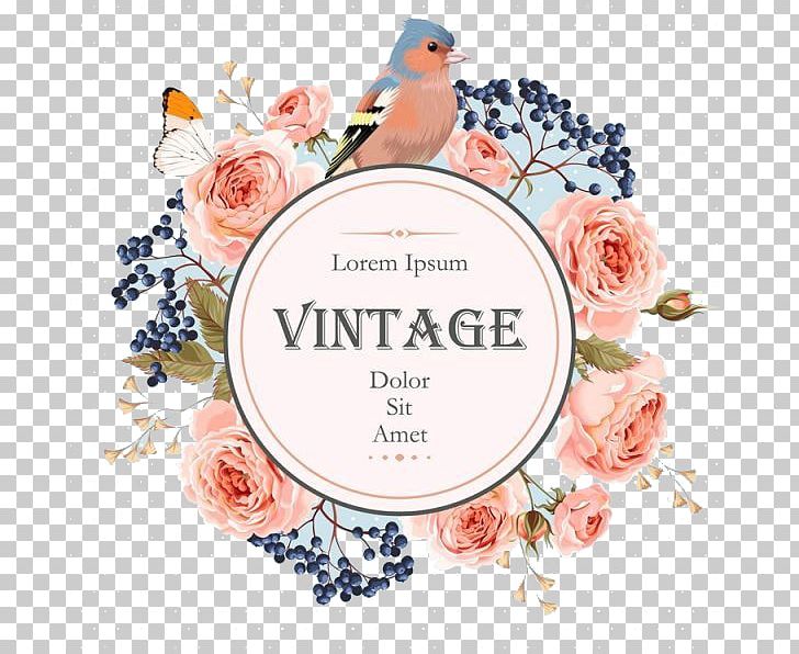 The Little Book Of Vintage Colouring Floral Design Flower Wreath PNG, Clipart, Animal, Bird, Cover Design, Cut Flowers, Floristry Free PNG Download