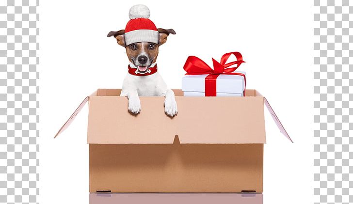 Jack Russell Terrier Pet Shop Service Dog Puppy PNG, Clipart, Animals, Box, Canidae, Christmas Ornament, Deer Free PNG Download