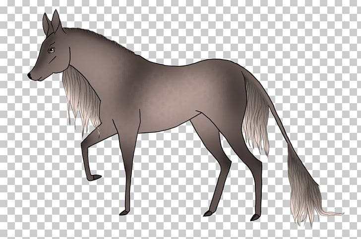 Mustang Foal Stallion Colt Mare PNG, Clipart, Character, Colt, Fictional Character, Foal, Halter Free PNG Download
