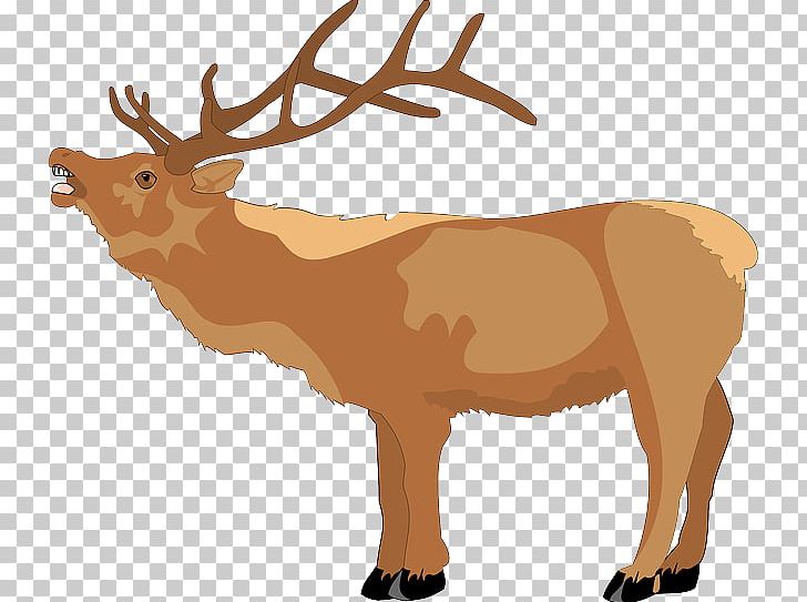 Reindeer PNG, Clipart, Animal Figure, Antler, Art, Cartoon, Cattle Like Mammal Free PNG Download