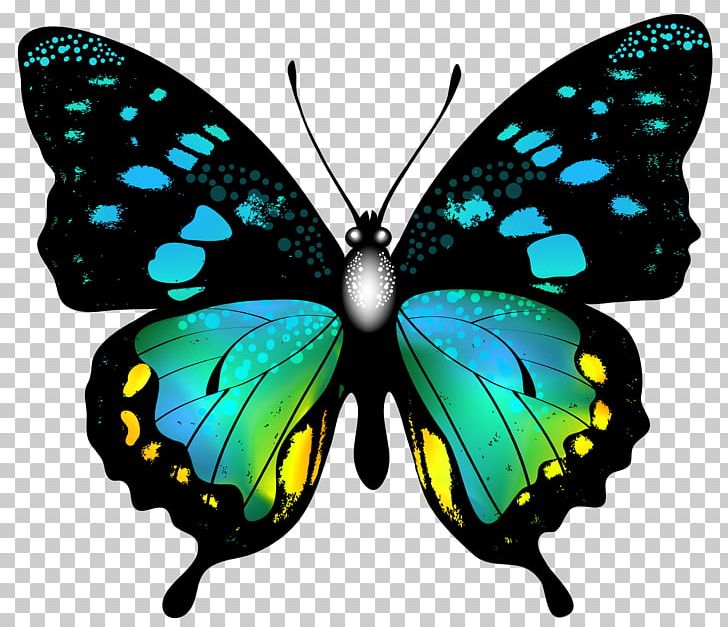 Butterfly Insect Color PNG, Clipart, Arthropod, Brush Footed Butterfly, Butterflies And Moths, Butterfly, Color Free PNG Download