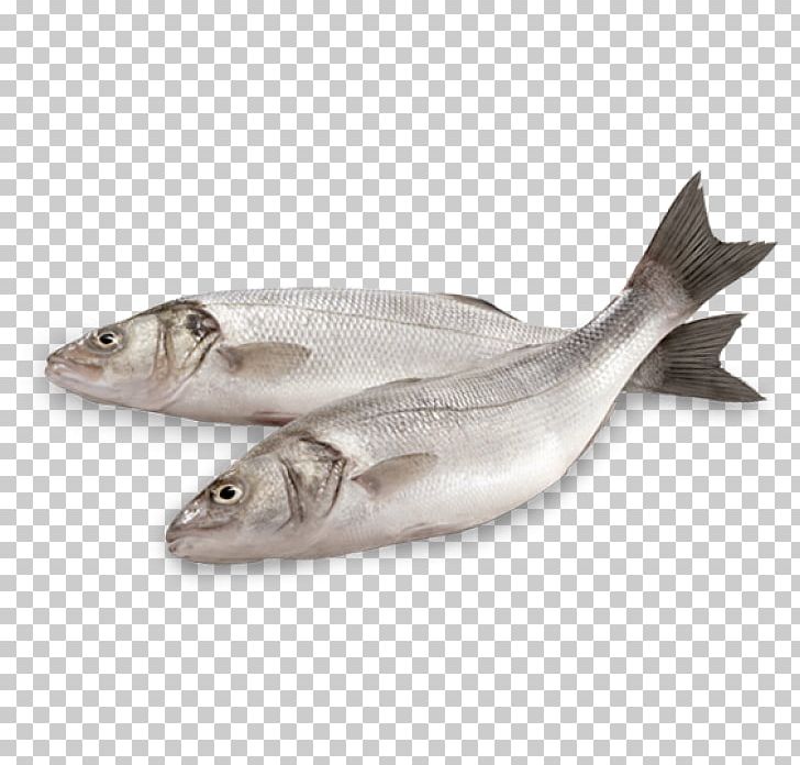 Crab Sardine Caridea Fish Products Mudanya PNG, Clipart, Animals, Animal Source Foods, Cangrejo, Caridea, Cod Free PNG Download