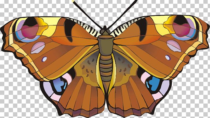 Monarch Butterfly Moth Pieridae Brush-footed Butterflies PNG, Clipart, Arthropod, Beetle, Biological Life Cycle, Brush Footed Butterfly, Butterflies And Moths Free PNG Download
