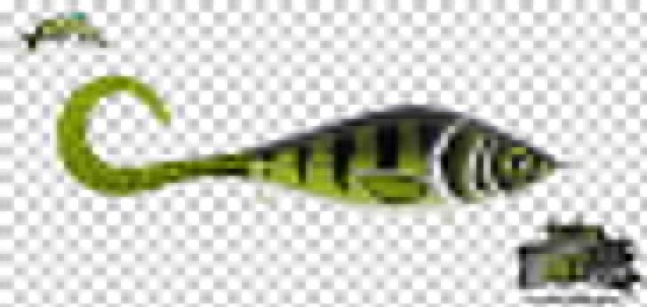 Spoon Lure Northern Pike Bass Worms Fishing Baits & Lures PNG, Clipart, Angelcenter Kassel, Bait, Bass Worms, Fish, Fishing Free PNG Download