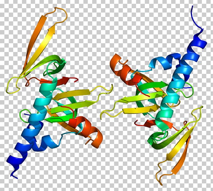 Survival Of Motor Neuron Gem-associated Protein 6 Protein Structure Gene PNG, Clipart, Area, Artwork, Cajal Body, Gem, Gemassociated Protein 6 Free PNG Download