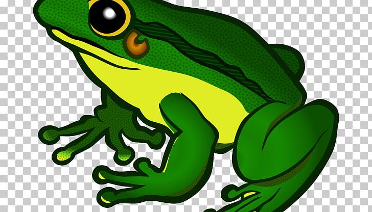 Frog Transparency Portable Network Graphics Desktop PNG, Clipart, Amphibian, Animals, Computer Icons, Desktop Wallpaper, Download Free PNG Download