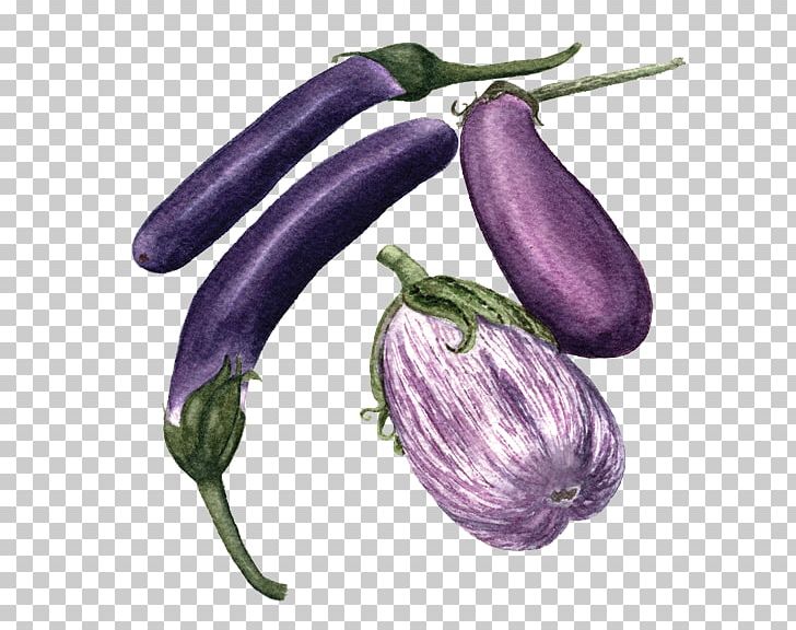 Vegetable Eggplant Food San Marzano Tomato PNG, Clipart, Arborio Rice, Cucumber, Eggplant, Food, Fruit Free PNG Download