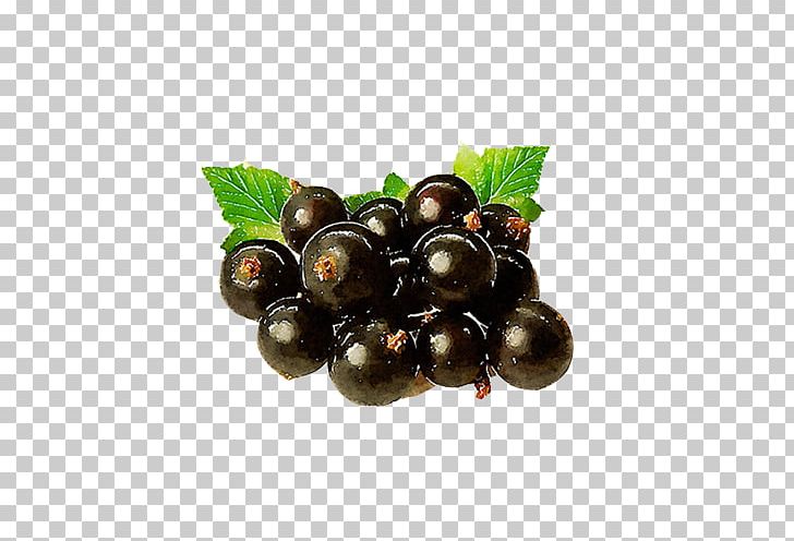 Blackcurrant Gooseberry Fruit PNG, Clipart, Background Black, Black, Black Background, Blueberry, Chokeberry Free PNG Download