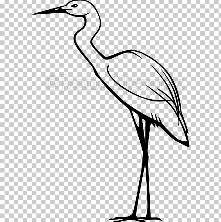 Heron Great Egret Snowy Egret PNG, Clipart, Artwork, Beak, Bird, Black And White, Branch Free PNG Download