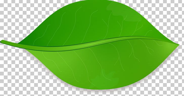 Maple Leaf Leaf Shape Drawing PNG, Clipart, Bladnerv, Cap, Clip Art, Color, Color Gradient Free PNG Download