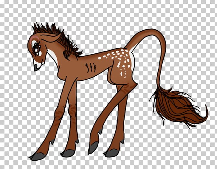 Mustang Foal Stallion Rein Halter PNG, Clipart, Bridle, Carnivoran, Cat, Cat Like Mammal, Colt Free PNG Download