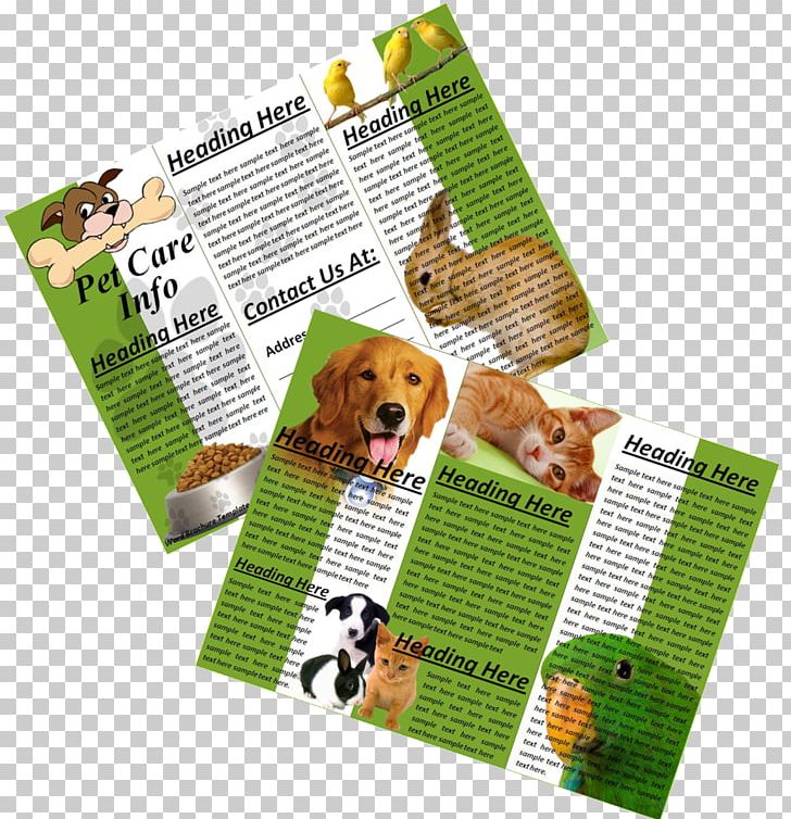 Brochure Template Microsoft Word Organization Microsoft Excel PNG, Clipart, Advertising, Brochure, Dog, Material, Microsoft Excel Free PNG Download