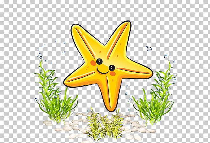 Drawing Sea Starfish Cartoon PNG, Clipart, Animal, Animals, Aquarium, Aquatic, Aquatic Creatures Free PNG Download